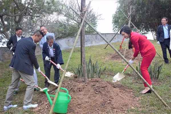 Plus de cerisiers en fleurs plantés dans le parc de Hanoï ảnh 3