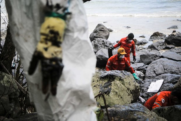 Une marée noire massive continue d'affecter les habitants des localités côtières des Philippines ảnh 1 Une marée noire massive continue d'affecter les habitants des localités côtières des Philippines ảnh 1