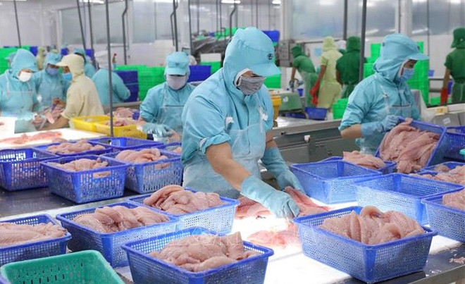 Les exportations de pangasius devraient rebondir au troisième trimestre 2023 ảnh 1 Les exportations de pangasius devraient rebondir au troisième trimestre 2023 ảnh 1