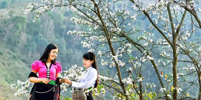 Le festival des fleurs de bauhinia va épater les visiteurs ảnh 1 Le festival des fleurs de bauhinia va épater les visiteurs ảnh 1