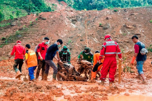 Indonésie : le bilan des glissements de terrain s'élève à 44 morts ảnh 1 Indonésie : le bilan des glissements de terrain s'élève à 44 morts ảnh 1