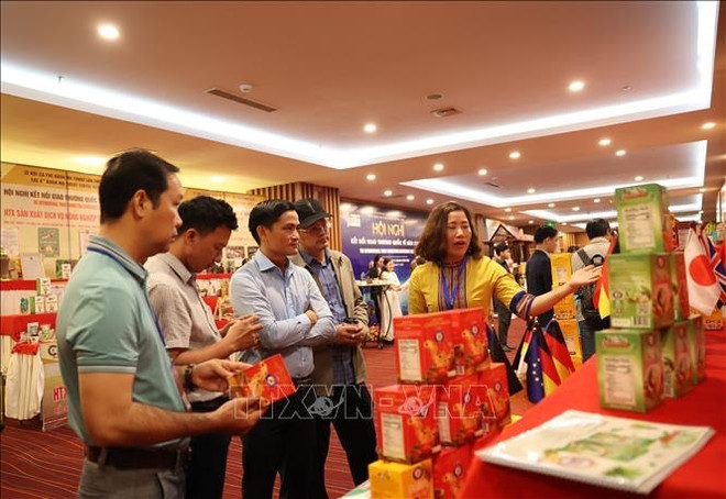 Une conférence promeut le commerce du café à Dak Lak ảnh 2 Une conférence promeut le commerce du café à Dak Lak ảnh 2