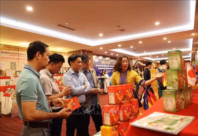 Une conférence promeut le commerce du café à Dak Lak ảnh 2