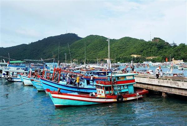 Phu Quoc intensifie ses efforts contre la pêche INN ảnh 1 Phu Quoc intensifie ses efforts contre la pêche INN ảnh 1