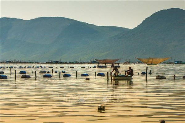 Indonésie : des experts appellent à appliquer le modèle vietnamien pour développer l’aquaculture ảnh 1 Indonésie : des experts appellent à appliquer le modèle vietnamien pour développer l’aquaculture ảnh 1