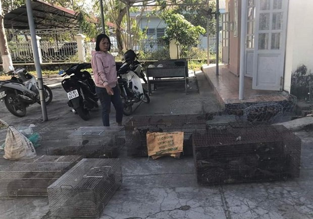 Lam Dong : une femme arrêtée pour commerce illégal d’animaux sauvages ảnh 1 Lam Dong : une femme arrêtée pour commerce illégal d’animaux sauvages ảnh 1