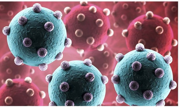 Le Cambodge confirme le deuxième cas humain de grippe aviaire H5N1 ảnh 1 Le Cambodge confirme le deuxième cas humain de grippe aviaire H5N1 ảnh 1