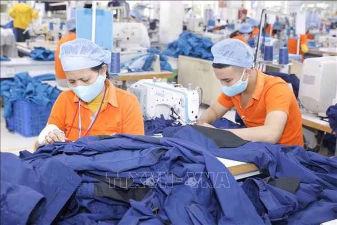 Le secteur du textile-habillement cible 47 milliards de dollars d’exportations en 2023 ảnh 1