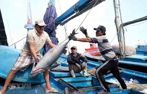 Ben Tre exhorte les pêcheurs à lutter contre la pêche illégale ảnh 1 Ben Tre exhorte les pêcheurs à lutter contre la pêche illégale ảnh 1