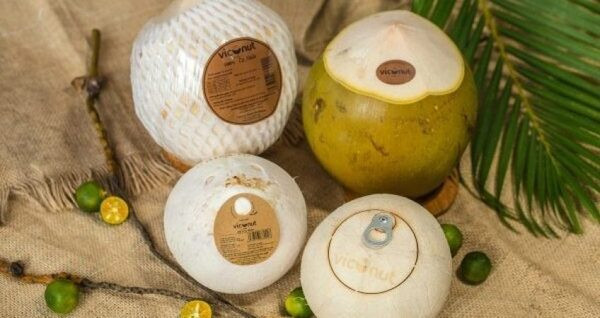 Les exportations de produits à base de noix de coco rapportent gros ảnh 1 Les exportations de produits à base de noix de coco rapportent gros ảnh 1