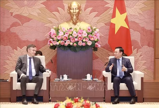 L’UE est un partenaire de première importance du Vietnam ảnh 1
