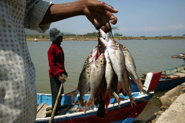 L'Indonésie encourage l'augmentation de la transformation dans l'agriculture et la pêche ảnh 1 L'Indonésie encourage l'augmentation de la transformation dans l'agriculture et la pêche ảnh 1