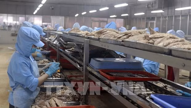 La valeur d’exportations de Kien Giang s'envole de 98,6 % en février ảnh 1