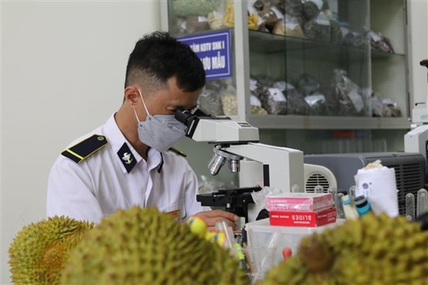 Les portes frontalières de la province septentrionale de Lang Son battent leur plein ảnh 2 Les portes frontalières de la province septentrionale de Lang Son battent leur plein ảnh 2