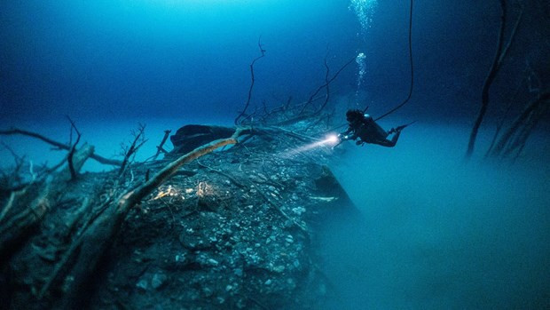 Internet au Vietnam affecté par des perturbations de cinq câbles sous-marins ảnh 1 Internet au Vietnam affecté par des perturbations de cinq câbles sous-marins ảnh 1