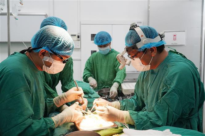 Les organes d'un seul donneur bénéficient à quatre jeunes patients ảnh 1 Les organes d'un seul donneur bénéficient à quatre jeunes patients ảnh 1
