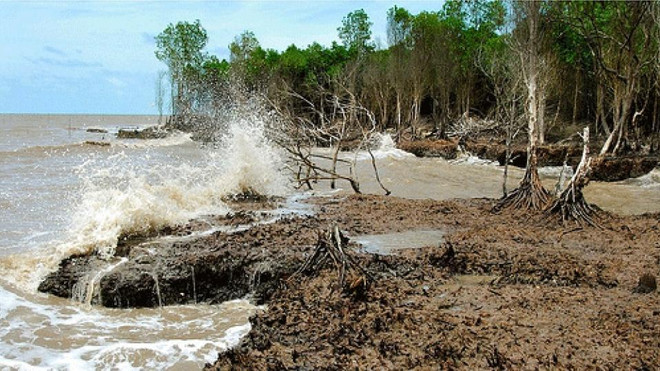 L’intrusion saline s’accentuera en mars dans le delta du Mékong ảnh 1 L’intrusion saline s’accentuera en mars dans le delta du Mékong ảnh 1
