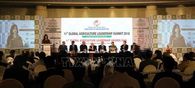 Le Vietnam au 11e Sommet mondial sur le leadership en agriculture en Inde ảnh 1
