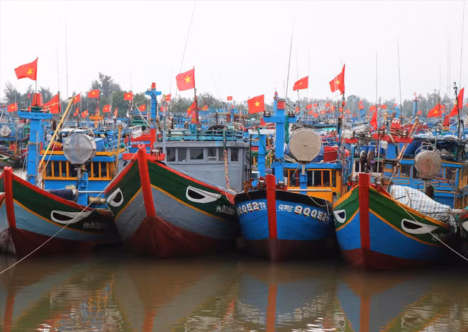 Les efforts de l'ASEAN pour développer une pêche durable ảnh 2