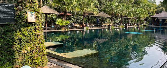 Le Washington Post fait l'éloge des services touristiques au Vietnam ảnh 1