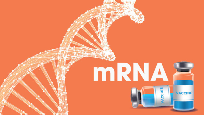 Faire du Vietnam un centre régional de production de vaccins ảnh 3 Faire du Vietnam un centre régional de production de vaccins ảnh 3