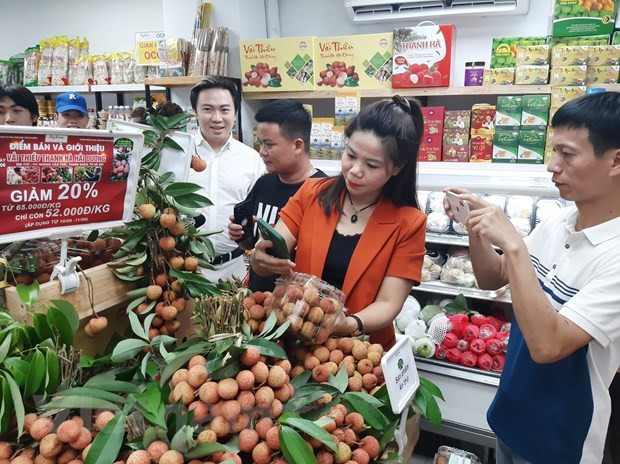 Promouvoir l'ouverture du marché chinois aux produits agricoles vietnamiens ảnh 2 Promouvoir l'ouverture du marché chinois aux produits agricoles vietnamiens ảnh 2