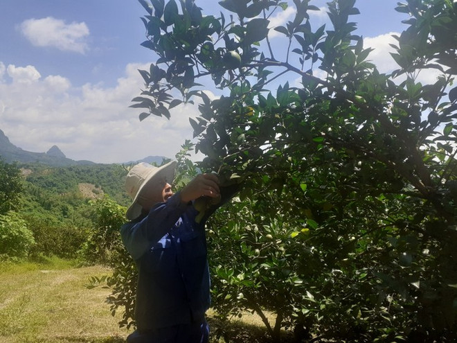 La province de Thai Nguyên mise sur la transformation numérique ảnh 1