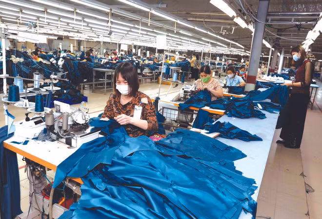Les exportations nationales prêtes à affronter les difficultés ảnh 3