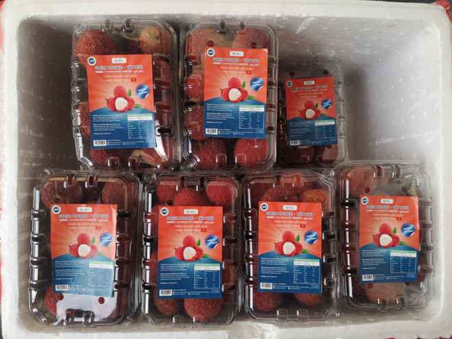 Le litchi vietnamien sans pépins est désormais disponible sur le marché britannique ảnh 2 Le litchi vietnamien sans pépins est désormais disponible sur le marché britannique ảnh 2