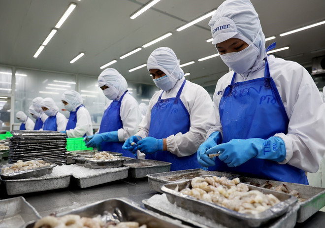 Les efforts de l'ASEAN pour développer une pêche durable ảnh 5 Les efforts de l'ASEAN pour développer une pêche durable ảnh 5