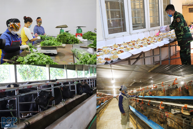 Bac Giang multiplie les modèles de garantie de la sécurité sanitaire des aliments ảnh 1 Bac Giang multiplie les modèles de garantie de la sécurité sanitaire des aliments ảnh 1