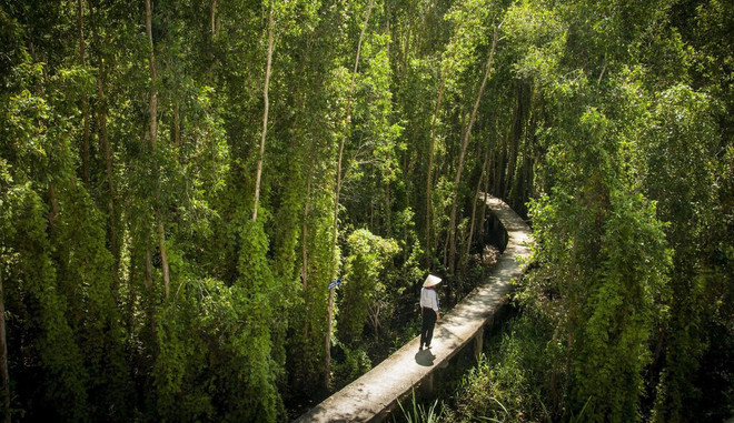 Les plus belles routes du Vietnam doivent absolument être explorées ảnh 1 Les plus belles routes du Vietnam doivent absolument être explorées ảnh 1