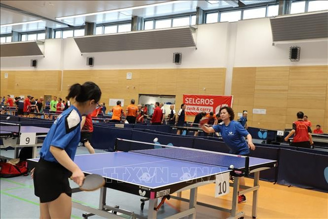 La Journée sportive des Vietnamiens en Europe ảnh 1 La Journée sportive des Vietnamiens en Europe ảnh 1