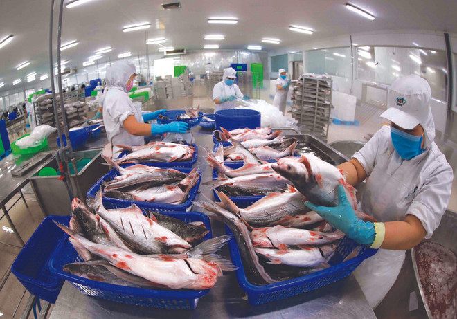 L’EVFTA trois ans après sa mise en œuvre ảnh 2 L’EVFTA trois ans après sa mise en œuvre ảnh 2