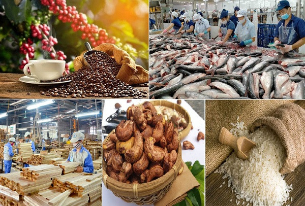 Les exportations de produits agricoles, sylvicoles et aquacoles en baisse en janvier ảnh 1 Les exportations de produits agricoles, sylvicoles et aquacoles en baisse en janvier ảnh 1