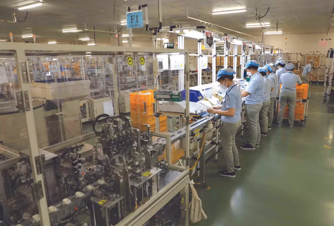 Les investissements directs étrangers s’orientent vers la croissance verte ảnh 2