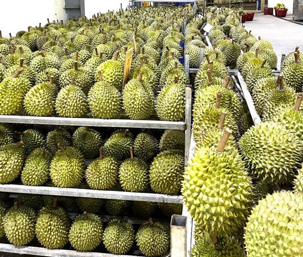 Le commerce et l'investissement, deux moteurs de croissance du Vietnam en 2023 ảnh 1 Le commerce et l'investissement, deux moteurs de croissance du Vietnam en 2023 ảnh 1