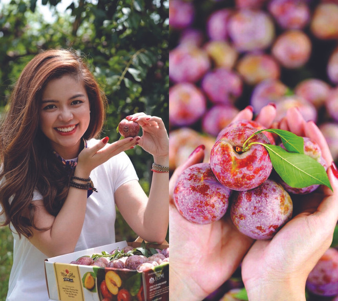 Elle lance une carte numérique de fruits vietnamiens ảnh 4 Elle lance une carte numérique de fruits vietnamiens ảnh 4