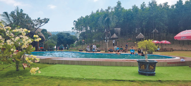 Quand écotourisme rime avec forêts ảnh 1 Quand écotourisme rime avec forêts ảnh 1