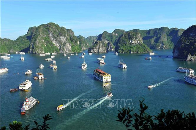 La baie d'Ha Long – l’archipel de Cat Ba reconnus comme patrimoine naturel mondial ảnh 2 La baie d'Ha Long – l’archipel de Cat Ba reconnus comme patrimoine naturel mondial ảnh 2