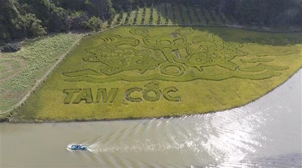 La Semaine touristique "Couleur dorée de Tam Côc - Tràng An" 2023 ảnh 2