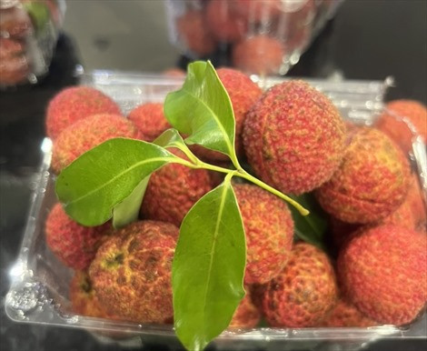 Le litchi vietnamien sans pépins est désormais disponible sur le marché britannique ảnh 1 Le litchi vietnamien sans pépins est désormais disponible sur le marché britannique ảnh 1