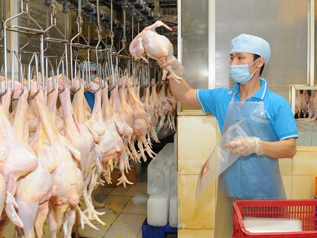 Promotion de l’export de viande de poulet au Japon ảnh 1