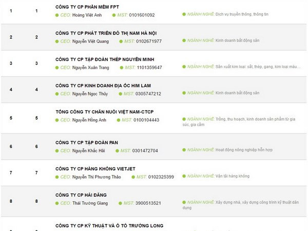 Présentation des meilleures sociétés vietnamiennes ảnh 1 Présentation des meilleures sociétés vietnamiennes ảnh 1