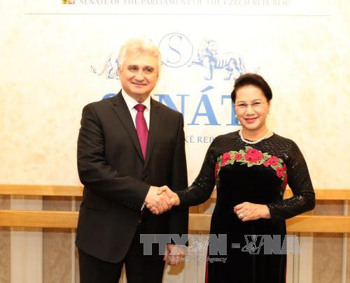 Le Vietnam attache toujours de l’importance à sa coopération avec la R. tchèque ảnh 1 Le Vietnam attache toujours de l’importance à sa coopération avec la R. tchèque ảnh 1