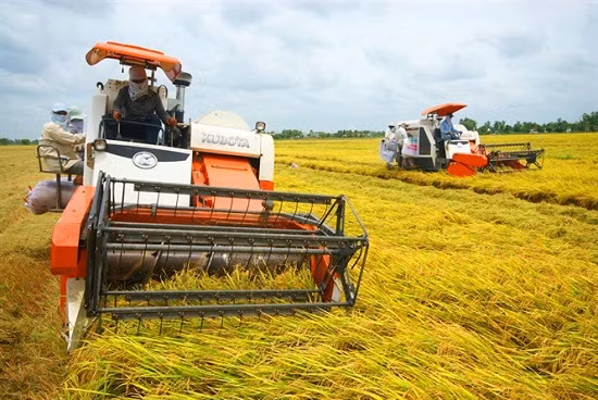 Thanh Hoa promeut le mouvement d'édification d'une Nouvelle ruralité ảnh 1 Thanh Hoa promeut le mouvement d'édification d'une Nouvelle ruralité ảnh 1