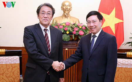 Le vice-Premier ministre Pham Binh Minh reçoit l’ambassadeur du Japon ảnh 1 Le vice-Premier ministre Pham Binh Minh reçoit l’ambassadeur du Japon ảnh 1