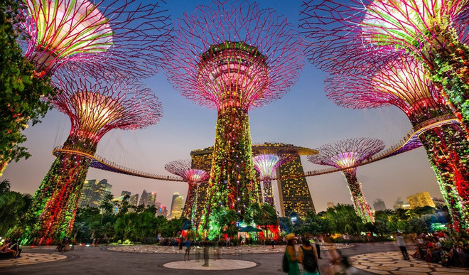 Dà Lat parmi les plus beaux endroits du monde où admirer les fleurs, selon Booking.com ảnh 5 Dà Lat parmi les plus beaux endroits du monde où admirer les fleurs, selon Booking.com ảnh 5