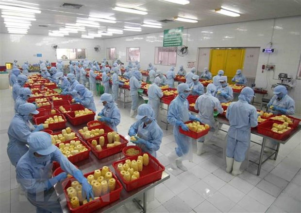 Les exportations du Vietnam vers la Hongrie en hausse ảnh 1 Les exportations du Vietnam vers la Hongrie en hausse ảnh 1