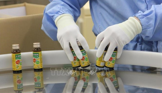 Des entreprises japonaises souhaitent importer plus de matières premières médicinales du Vietnam ảnh 1 Des entreprises japonaises souhaitent importer plus de matières premières médicinales du Vietnam ảnh 1
